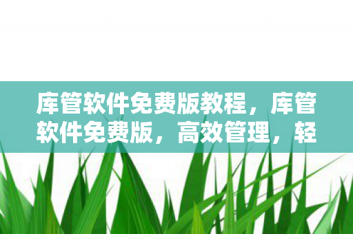 库管软件免费版教程，库管软件免费版，高效管理，轻松提升工作效率