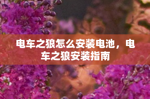 电车之狼怎么安装电池，电车之狼安装指南