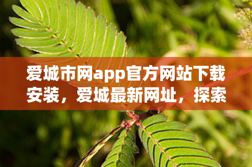 爱城市网app官方网站下载安装，爱城最新网址，探索数字世界的全新入口