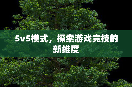 5v5模式，探索游戏竞技的新维度