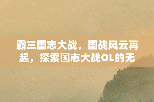 霸三国志大战，国战风云再起，探索国志大战OL的无限可能