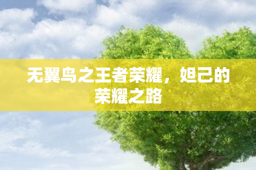 无翼鸟之王者荣耀，妲己的荣耀之路