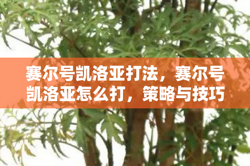 赛尔号凯洛亚打法，赛尔号凯洛亚怎么打，策略与技巧