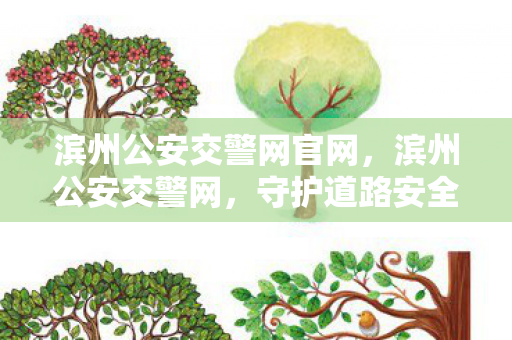 滨州公安交警网官网，滨州公安交警网，守护道路安全的数字哨兵