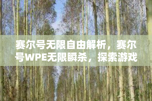 赛尔号无限自由解析，赛尔号WPE无限瞬杀，探索游戏内无限可能的策略与技巧