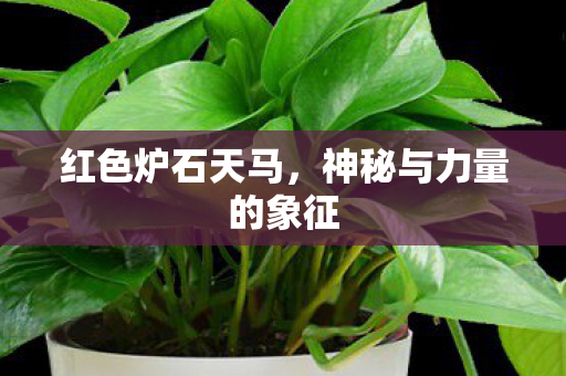 红色炉石天马，神秘与力量的象征