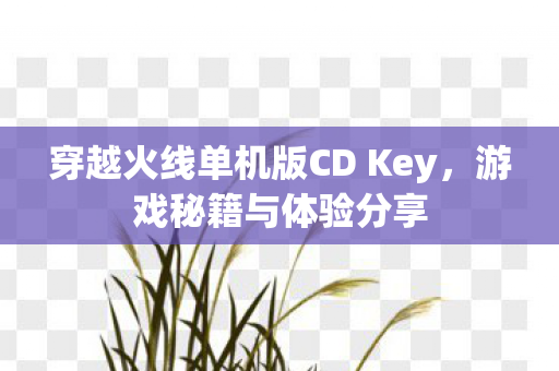 穿越火线单机版CD Key，游戏秘籍与体验分享