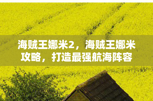 海贼王娜米2，海贼王娜米攻略，打造最强航海阵容