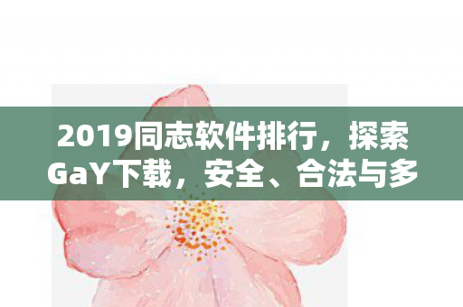 2019同志软件排行，探索GaY下载，安全、合法与多样性的边界