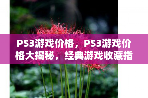PS3游戏价格，PS3游戏价格大揭秘，经典游戏收藏指南