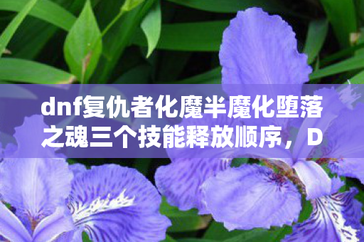 dnf复仇者化魔半魔化堕落之魂三个技能释放顺序，DNF复仇者化魔，深度解析与实战应用