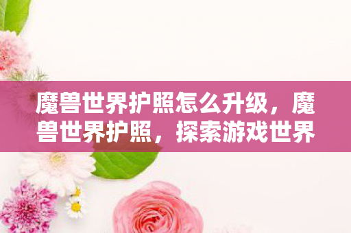 魔兽世界护照怎么升级，魔兽世界护照，探索游戏世界的通行证
