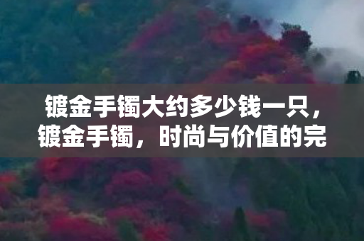 镀金手镯大约多少钱一只，镀金手镯，时尚与价值的完美融合