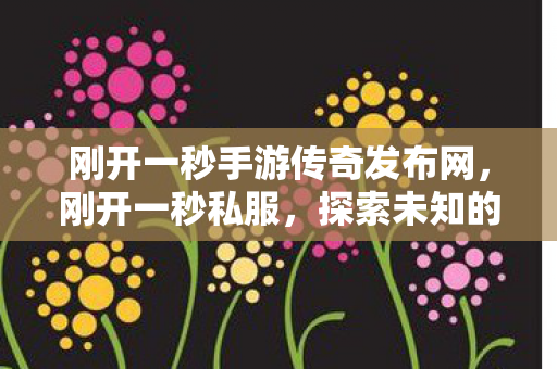 刚开一秒手游传奇发布网，刚开一秒私服，探索未知的游戏世界