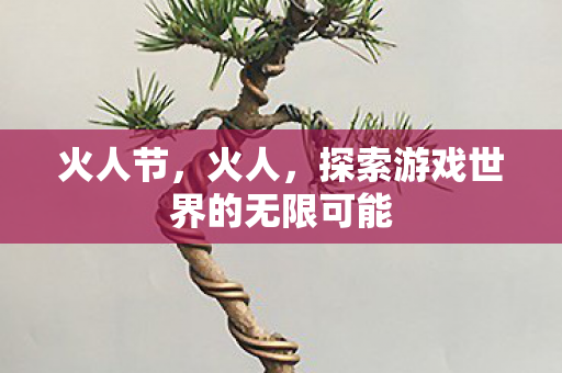 火人节，火人，探索游戏世界的无限可能