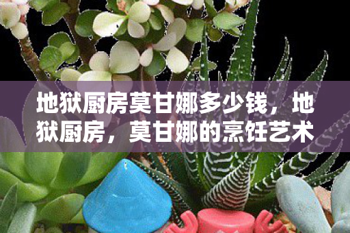 地狱厨房莫甘娜多少钱，地狱厨房，莫甘娜的烹饪艺术