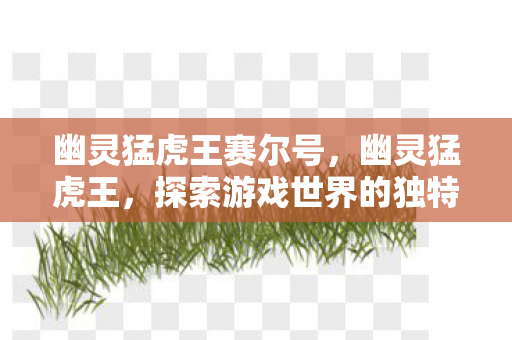幽灵猛虎王赛尔号，幽灵猛虎王，探索游戏世界的独特魅力