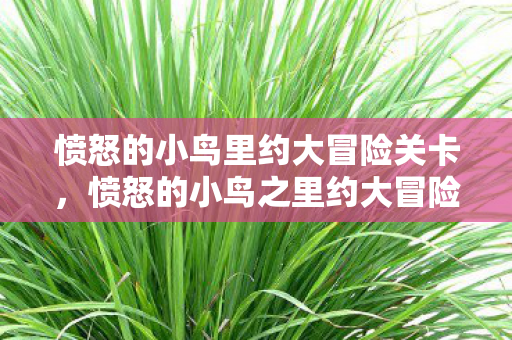 愤怒的小鸟里约大冒险关卡，愤怒的小鸟之里约大冒险攻略