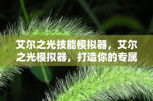 艾尔之光技能模拟器，艾尔之光模拟器，打造你的专属虚拟世界