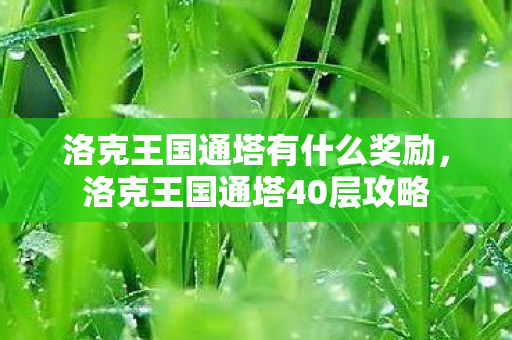 洛克王国通塔有什么奖励，洛克王国通塔40层攻略