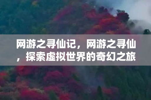 网游之寻仙记，网游之寻仙，探索虚拟世界的奇幻之旅