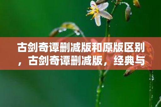古剑奇谭删减版和原版区别，古剑奇谭删减版，经典与遗憾的交织