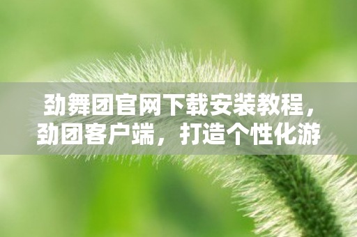 劲舞团官网下载安装教程，劲团客户端，打造个性化游戏体验，探索无限可能
