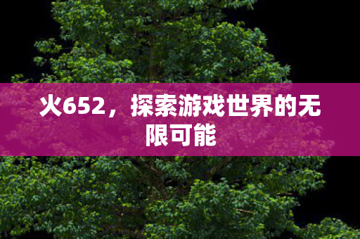火652，探索游戏世界的无限可能