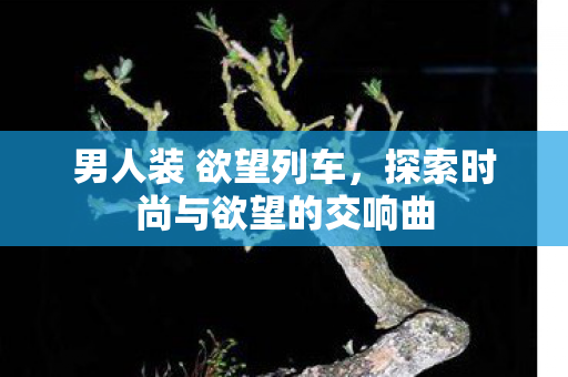 男人装 欲望列车，探索时尚与欲望的交响曲