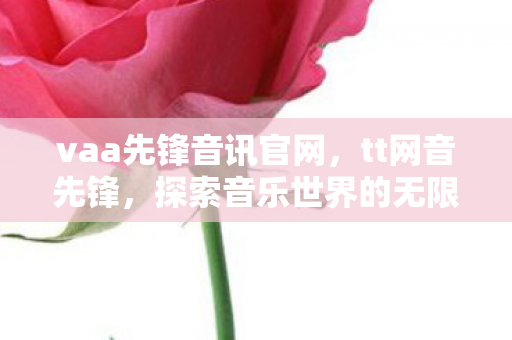 vaa先锋音讯官网，tt网音先锋，探索音乐世界的无限可能