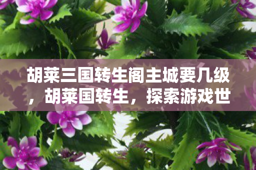 胡莱三国转生阁主城要几级，胡莱国转生，探索游戏世界的无限可能
