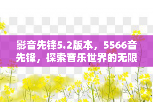影音先锋5.2版本，5566音先锋，探索音乐世界的无限可能