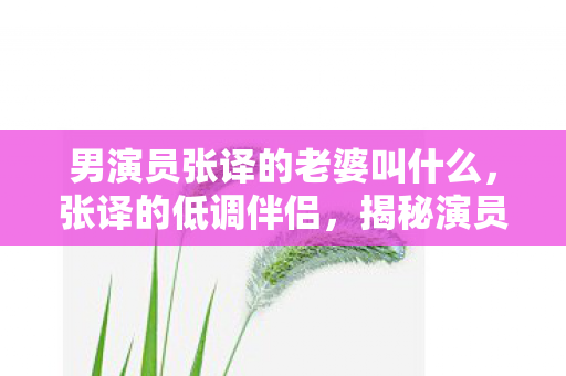 男演员张译的老婆叫什么，张译的低调伴侣，揭秘演员背后的幸福家庭