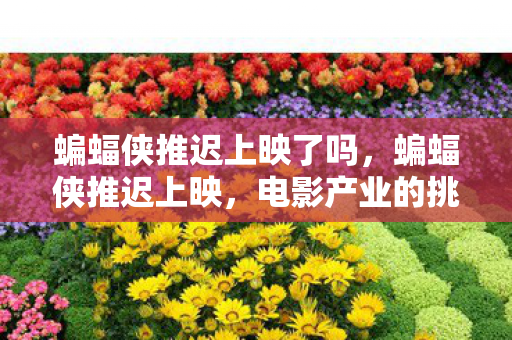 蝙蝠侠推迟上映了吗，蝙蝠侠推迟上映，电影产业的挑战与观众期待的落空