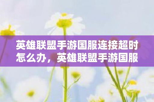 英雄联盟手游国服连接超时怎么办，英雄联盟手游国服连接超时，深度解析与优化建议