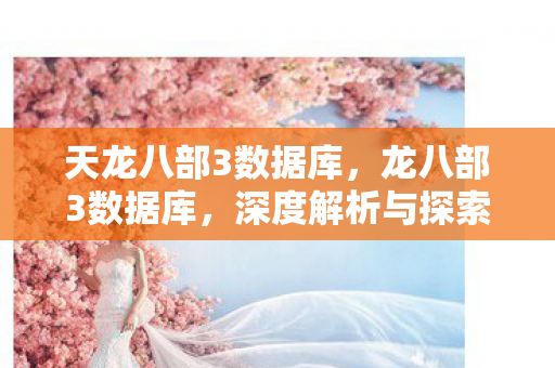天龙八部3数据库，龙八部3数据库，深度解析与探索