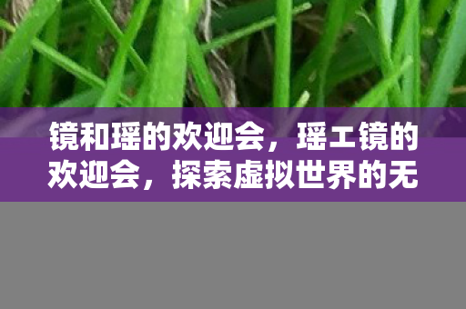 镜和瑶的欢迎会，瑶エ镜的欢迎会，探索虚拟世界的无限可能