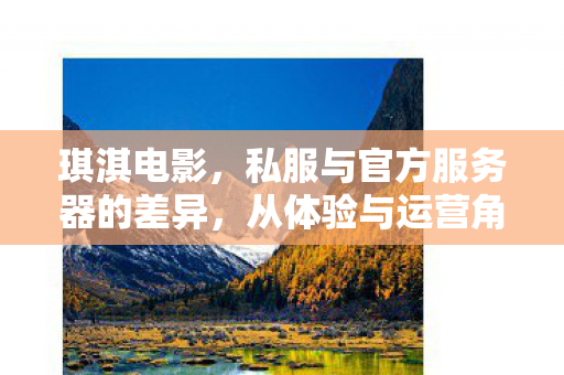 琪淇电影，私服与官方服务器的差异，从体验与运营角度的探讨