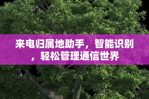 来电归属地助手，智能识别，轻松管理通信世界