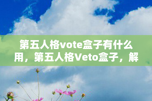 第五人格vote盒子有什么用，第五人格Veto盒子，解锁游戏新体验