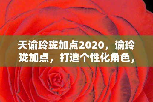 天谕玲珑加点2020，谕玲珑加点，打造个性化角色，提升游戏体验