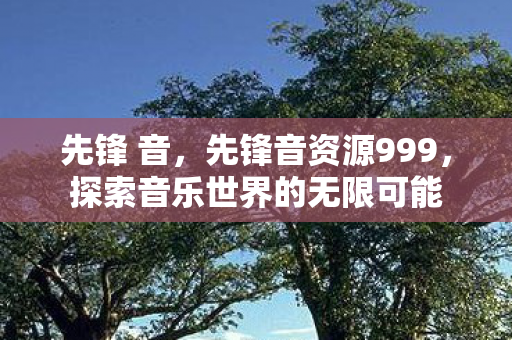 先锋 音，先锋音资源999，探索音乐世界的无限可能