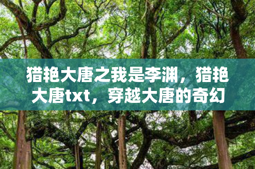 猎艳大唐之我是李渊，猎艳大唐txt，穿越大唐的奇幻之旅