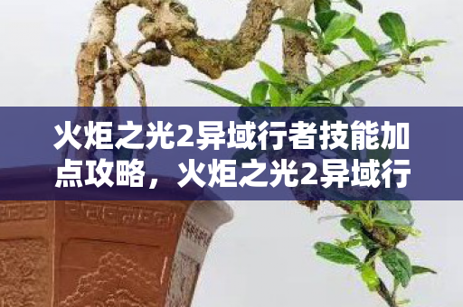 火炬之光2异域行者技能加点攻略，火炬之光2异域行者技能加点策略