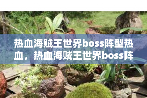 热血海贼王世界boss阵型热血，热血海贼王世界boss阵型解析，探索无尽海域的力量