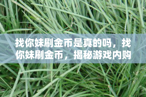 找你妹刷金币是真的吗，找你妹刷金币，揭秘游戏内购的灰色地带