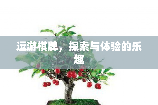 逗游棋牌，探索与体验的乐趣