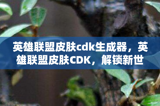 英雄联盟皮肤cdk生成器，英雄联盟皮肤CDK，解锁新世界的钥匙