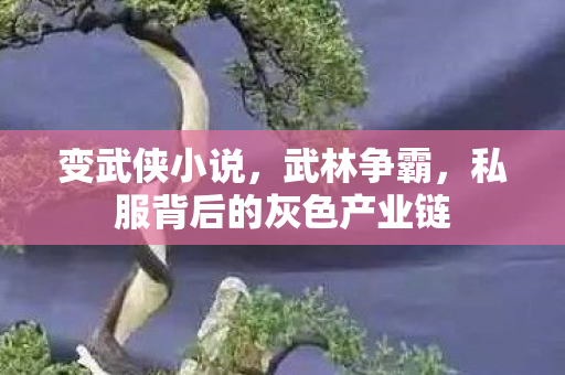 变武侠小说，武林争霸，私服背后的灰色产业链