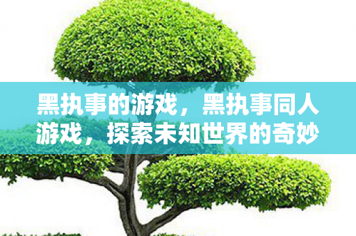 黑执事的游戏，黑执事同人游戏，探索未知世界的奇妙之旅
